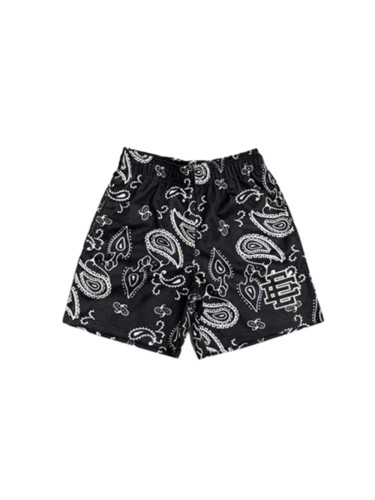 Paisley Print EE Mesh Men Quick Dry Athletic Beach Swim Shorts 8 colors 29284212