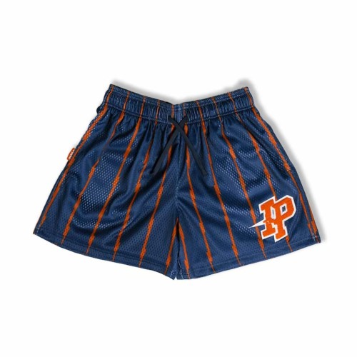 Vertical Lightning Striped Fine Mesh IP Logo Quick Dry Basketball Running Shorts 3 colors 29284374