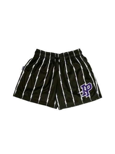 Vertical Lightning Striped Fine Mesh IP Logo Quick Dry Basketball Running Shorts 3 colors 29284374