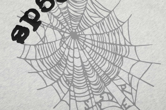 Drill Streetwear Contrast Line Screen Print Web & Sp5der Letter Front Print T-Shirt 2 colors 29304999