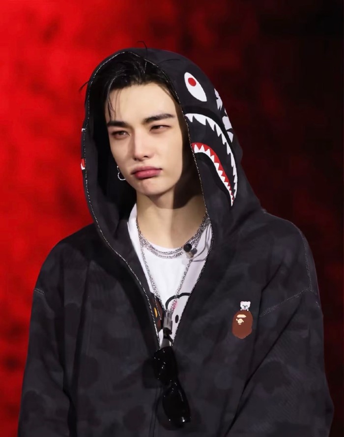 1:1 quality version Stray Kids Co-branded Shark Small Animal Embroidery Camo Zip Up Hoodie 4 colors 29322793