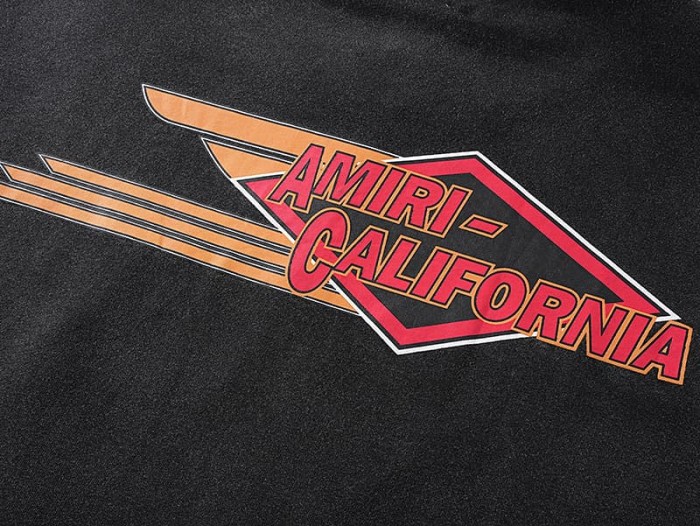 Bald Eagle California Diamond Logo Print Washed Tee 29330527