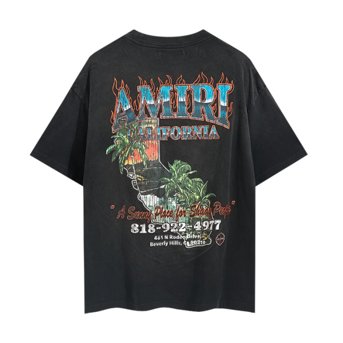 Flame Palm California Villa Print Washed Tee 29330538