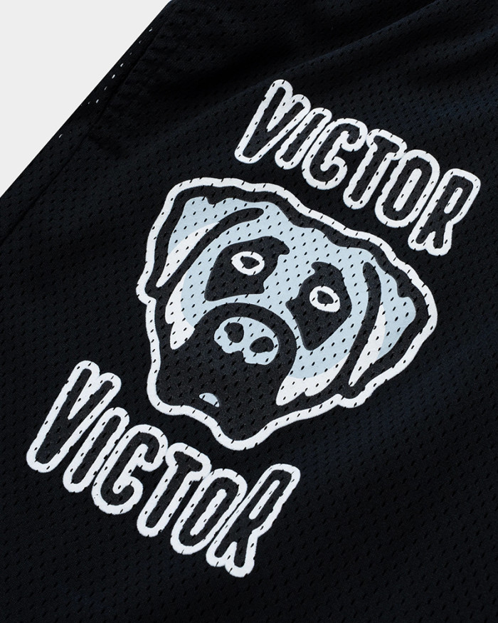 Eric Emanuel Streetwear Dog Head Letter Print Loose Fit Breathable Mesh Athletic Shorts 2 colors 29374901