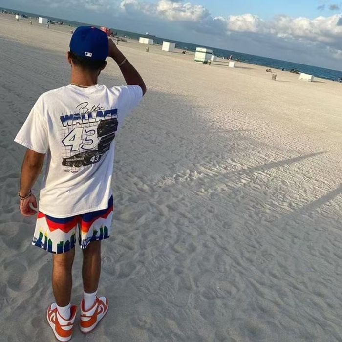 Eric Emanuel Streetwear City Skyline Mountain Print With Side EE Monogram Logo Print Mesh Athletic Shorts 2 colors 29378499