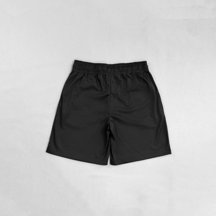 Eric Emanuel 1:1 quality version San Antonio Spurs Mesh Team Logo Embroidery Shorts 29477708