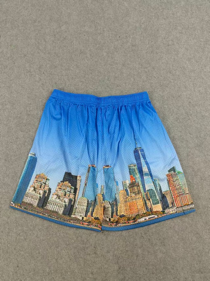 Eric Emanuel Scenic Print Mesh Shorts 4 colors 27974882
